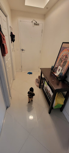 Clothing Store «Ross Dress for Less», reviews and photos, 415 South State Road 7, Hollywood, FL 33023, USA