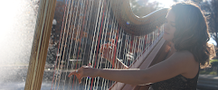Have Harp Will Travel - Photo 4 - Car repair in Huntsville, AL, Huntsville