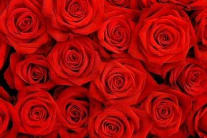 Florist «Flowers N More», reviews and photos, 740 SE Madison St, Albany, OR 97321, USA