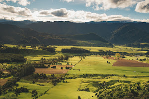 Toby Randall Rural