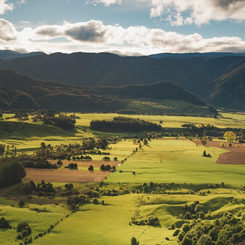 Toby Randall Rural