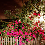 Photo n°4 de l'avis de Gianluca.l fait le 29/06/2022 à 12:50 sur le  Da Gianni...pizzeria farinata à Turin