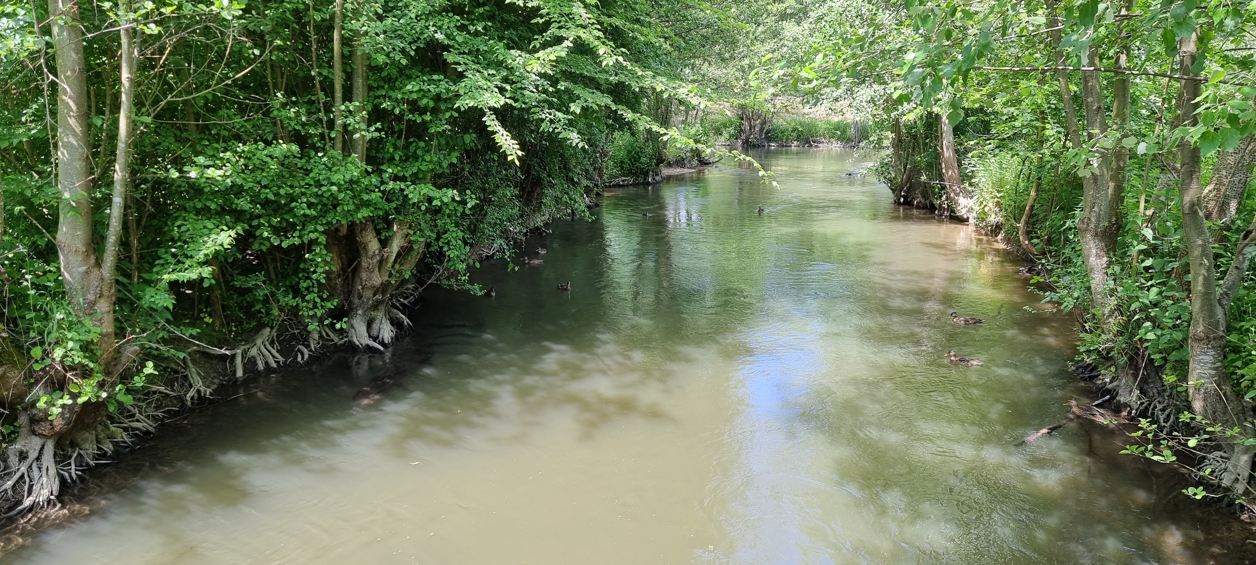 Photo n° 46 de l'avis de Keyser.� fait le 13/05/2022 à 15:56