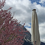 Photo n°12 de l'avis de Nataliia.r fait le 19/04/2022 à 16:29 sur le  Toni Alm à Garmisch-Partenkirchen