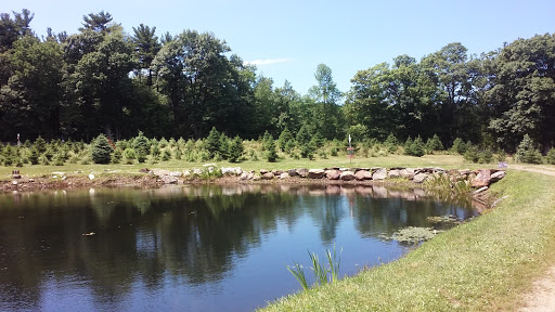 Outdoor Sports Store «Maple Hill Disc Golf», reviews and photos, 132 Marshall St, Leicester, MA 01524, USA