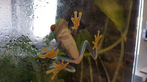 Pet Store «Zoo Pet Center», reviews and photos, 828 Washington St, Peekskill, NY 10566, USA