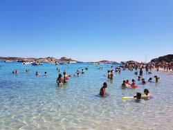 Spiaggia del Cavaliere'in fotoğrafı ve güzel manzarası