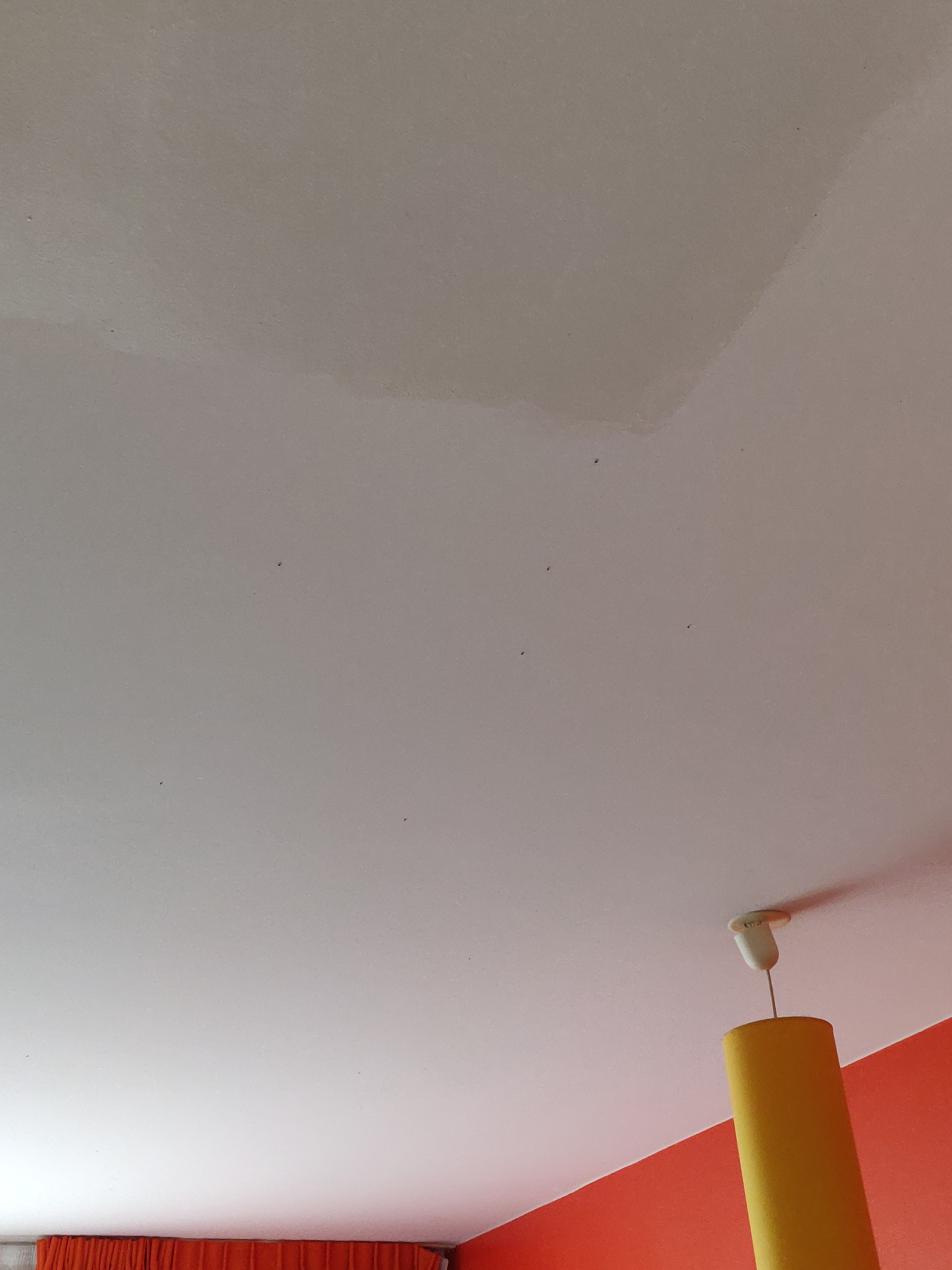 Photo n° 10 de l'avis de Abed.e fait le 21/07/2020 à 21:28