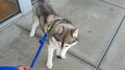 Pet Supply Store «Petco Animal Supplies», reviews and photos, 20 Stockwell Dr, Avon, MA 02322, USA