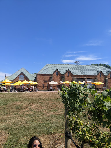 Vineyard «Duck Walk Vineyard», reviews and photos, 231 Montauk Hwy, Water Mill, NY 11976, USA
