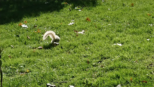 Art Museum «National Gallery of Art», reviews and photos, 6th & Constitution Ave NW, Washington, DC 20565, USA