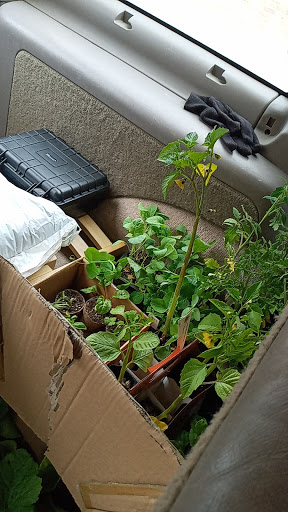 Natural Foods Store «Great Basin Community Food Co-op», reviews and photos, 240 Court St, Reno, NV 89501, USA