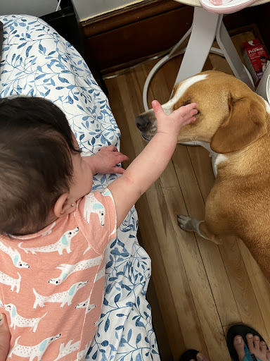 Pet Supply Store «Petco Animal Supplies», reviews and photos, 2277 Ford Pkwy, St Paul, MN 55116, USA