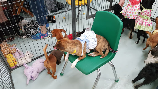 Pet Store «Wet Pets N Critters», reviews and photos, 103 TX-281 Loop, Longview, TX 75605, USA