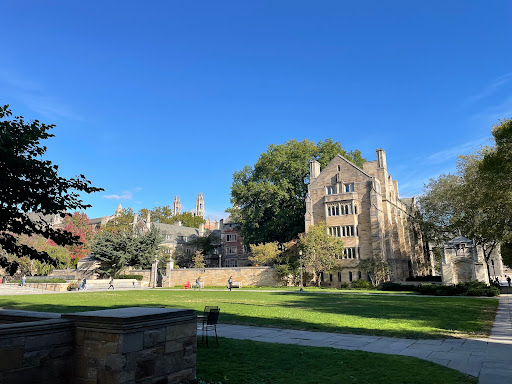 University «Yale University», reviews and photos