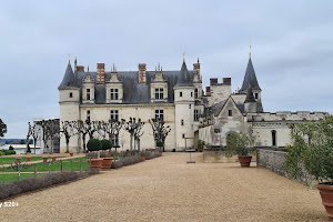 Château Royal d'Amboise image