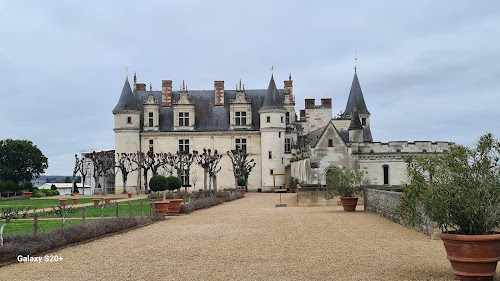 Château Royal d'Amboise à Amboise