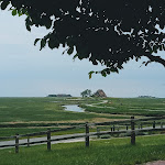 Photo n°1 de l'avis de Rüdiger.r fait le 12/06/2020 à 10:02 sur le  Restaurant Friesenpesel à Hooge