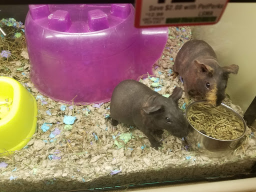 Pet Supply Store «PetSmart», reviews and photos, 3995 Welsh Rd, Willow Grove, PA 19090, USA