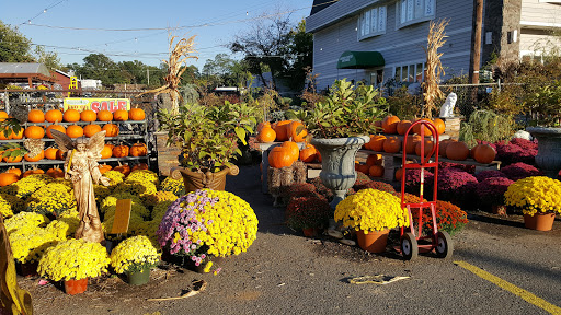 Market «Rising Up Garden Center, Landscape Design, & Florist», reviews and photos, 1314 St George Ave, Avenel, NJ 07001, USA