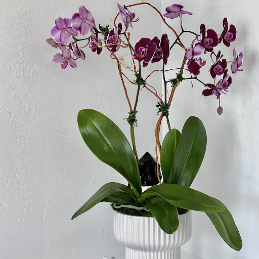 Florist «Angel Blooms Florist , Inc», reviews and photos, 17600 Rockefeller Cir Unit #3, Fort Myers, FL 33967, USA