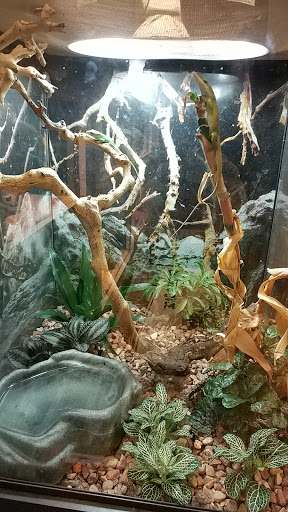 Pet Store «Fish & More Pet Store», reviews and photos, 310 E Main St #8, Sylva, NC 28779, USA