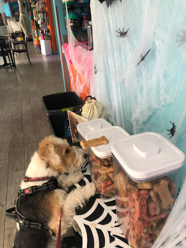 Bar «Beach Box Cafe», reviews and photos, 9020 Gulf Shore Dr, Naples, FL 34108, USA