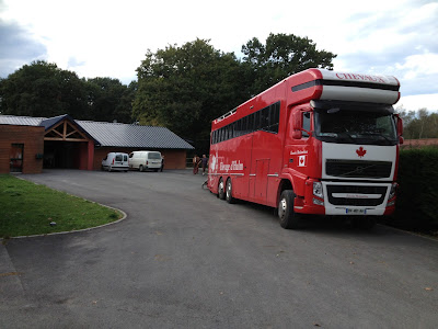 Clinique Vétérinaire Equine de Sers à Pau