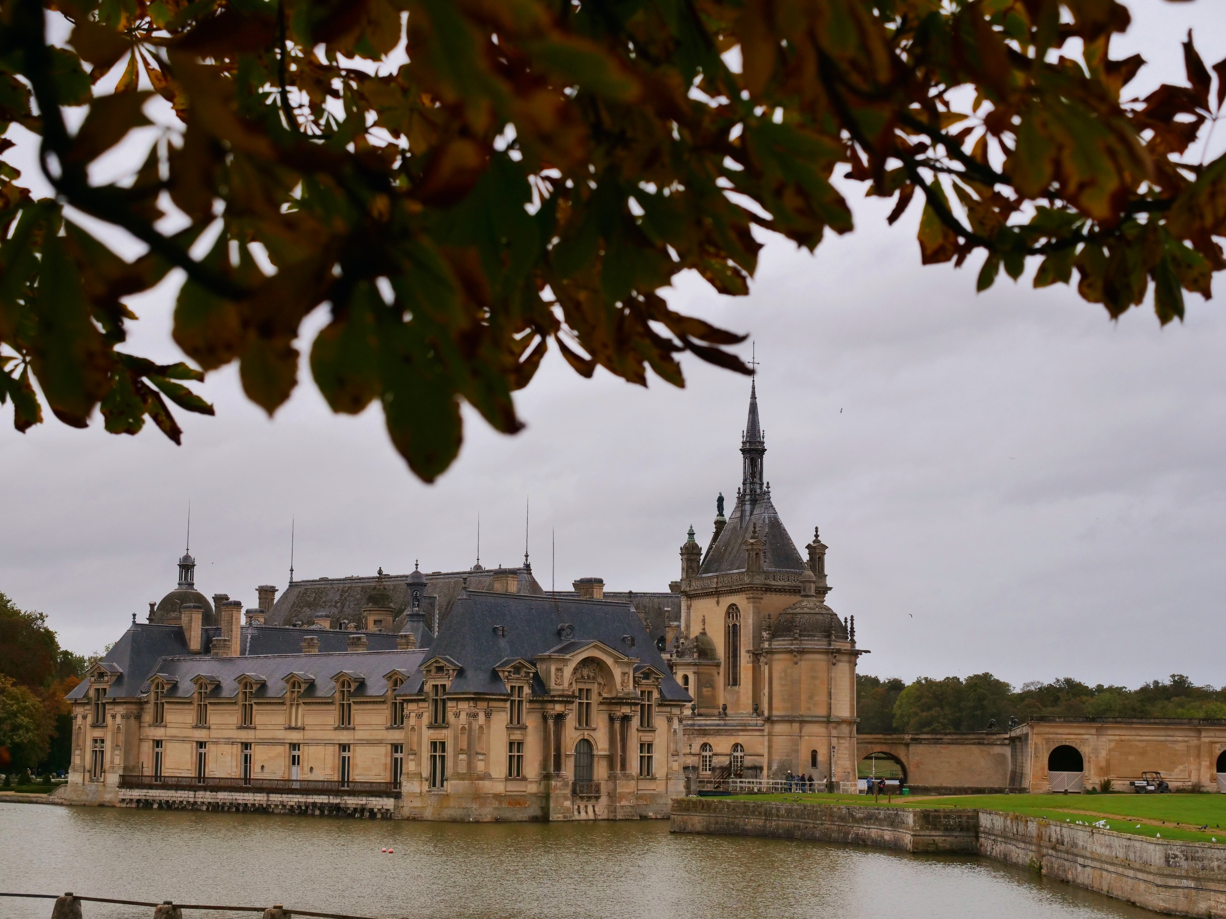 Photo n° 1 de l'avis de OLIVIER.E fait le 21/10/2023 à 17:03