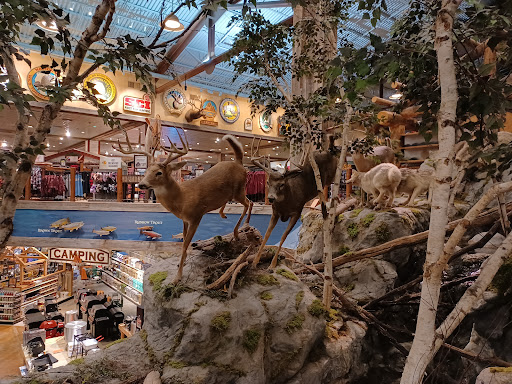 Shopping Mall «Patriot Place», reviews and photos, 2 Patriot Pl, Foxborough, MA 02035, USA