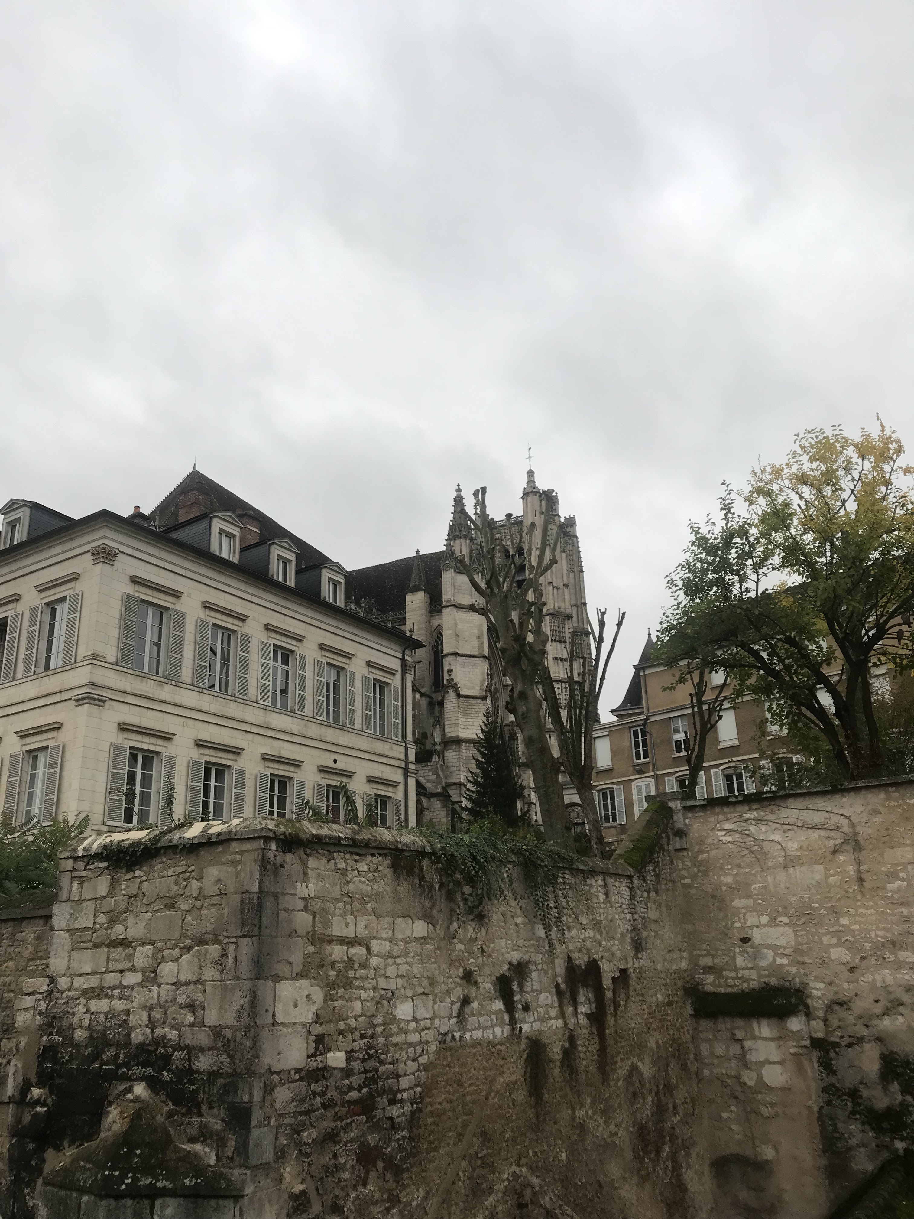 Photo n° 5 de l'avis de M-H.E fait le 17/10/2022 à 07:49
