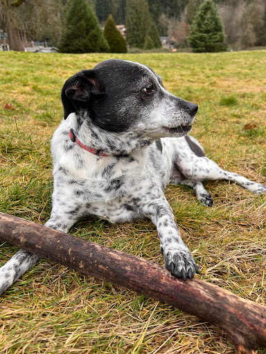 Golf Course «Wayne Public Golf Course», reviews and photos, 16721 96th Ave NE, Bothell, WA 98011, USA