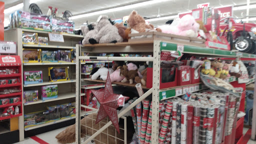 Home Improvement Store «Tractor Supply Co.», reviews and photos, 100 W Ardice Ave #1, Eustis, FL 32726, USA