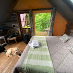 Photo n°4 de l'avis de Martina.u fait le 05/05/2024 à 14:51 sur le  Glamping Pian delle Ginestre à Sassetta