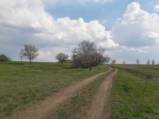 Lookout near village Fedortsy