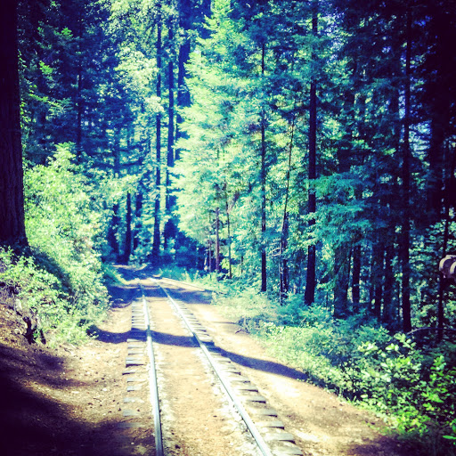 Amusement Park «Roaring Camp Railroads», reviews and photos, 5401 Graham Hill Road, Felton, CA 95018, USA