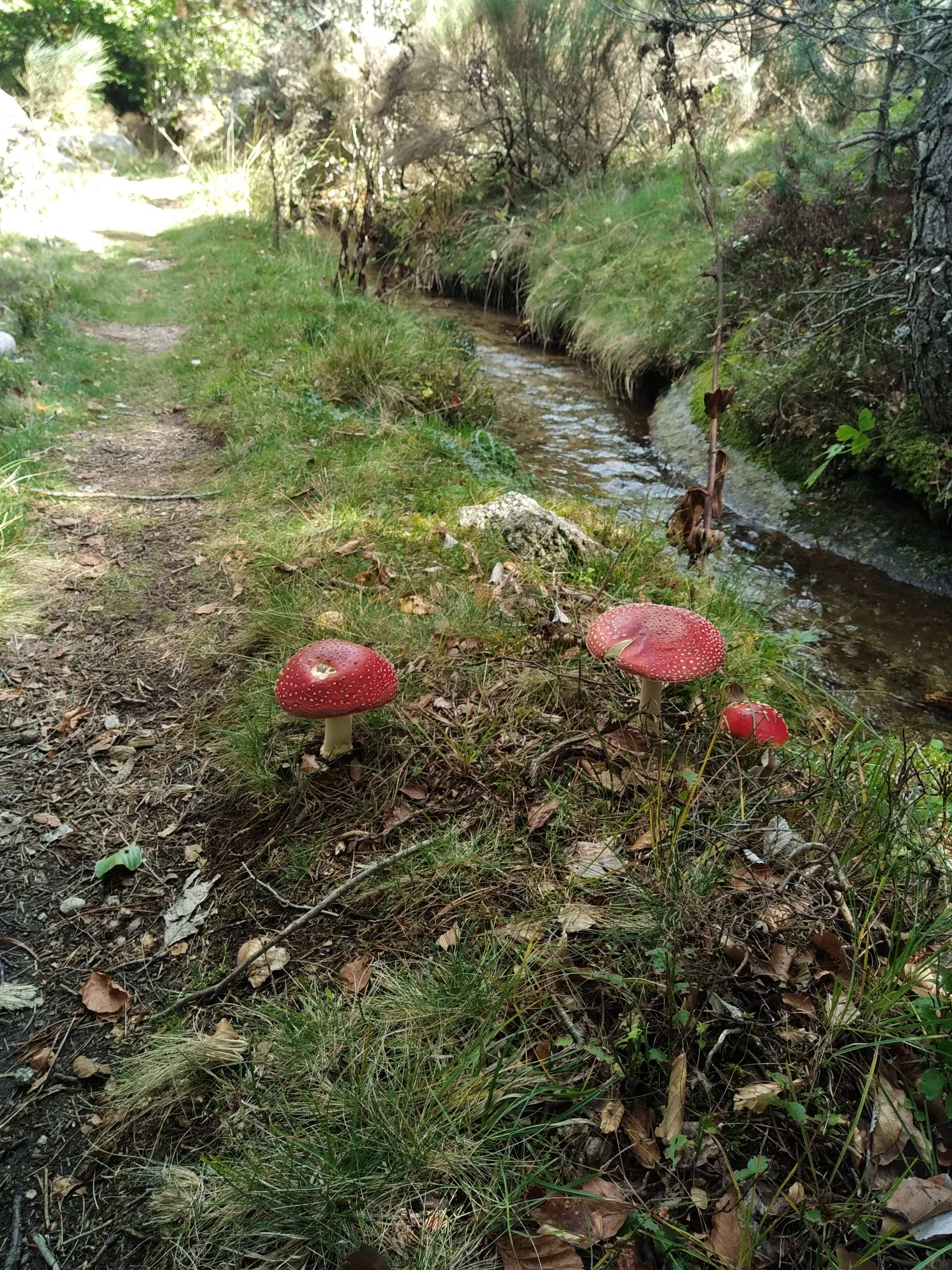 Photo n° 45 de l'avis de Julien.a fait le 15/10/2022 à 19:20