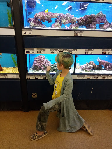 Shopping Mall «Warrenton Village Center», reviews and photos, 251 Lee Hwy, Warrenton, VA 20186, USA