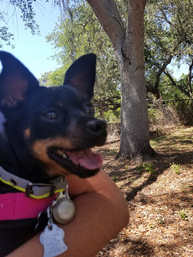 Park «Boca Ciega Millennium Park», reviews and photos, 12410 74th Ave N, Seminole, FL 33772, USA