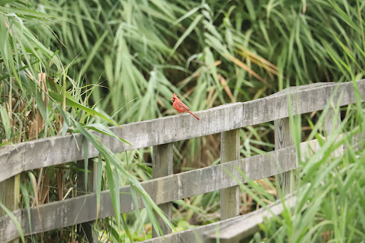 Park «Harford Glen Park», reviews and photos, 502 W Wheel Rd, Bel Air, MD 21015, USA