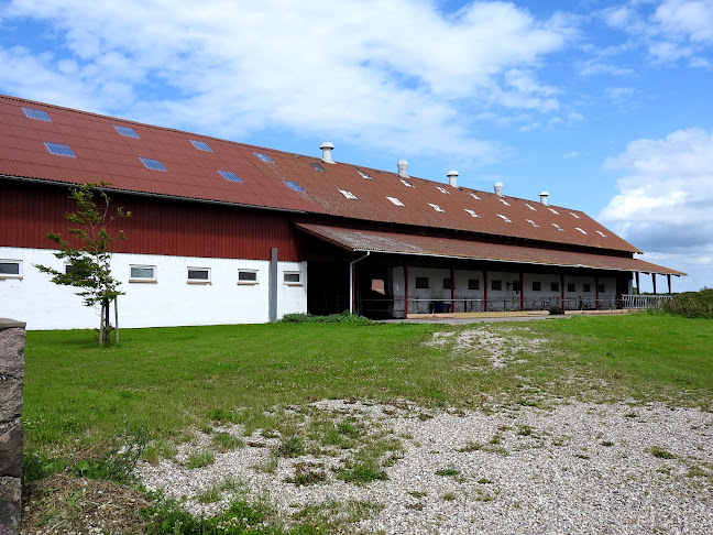 Kommentarer og anmeldelser af Mineslund