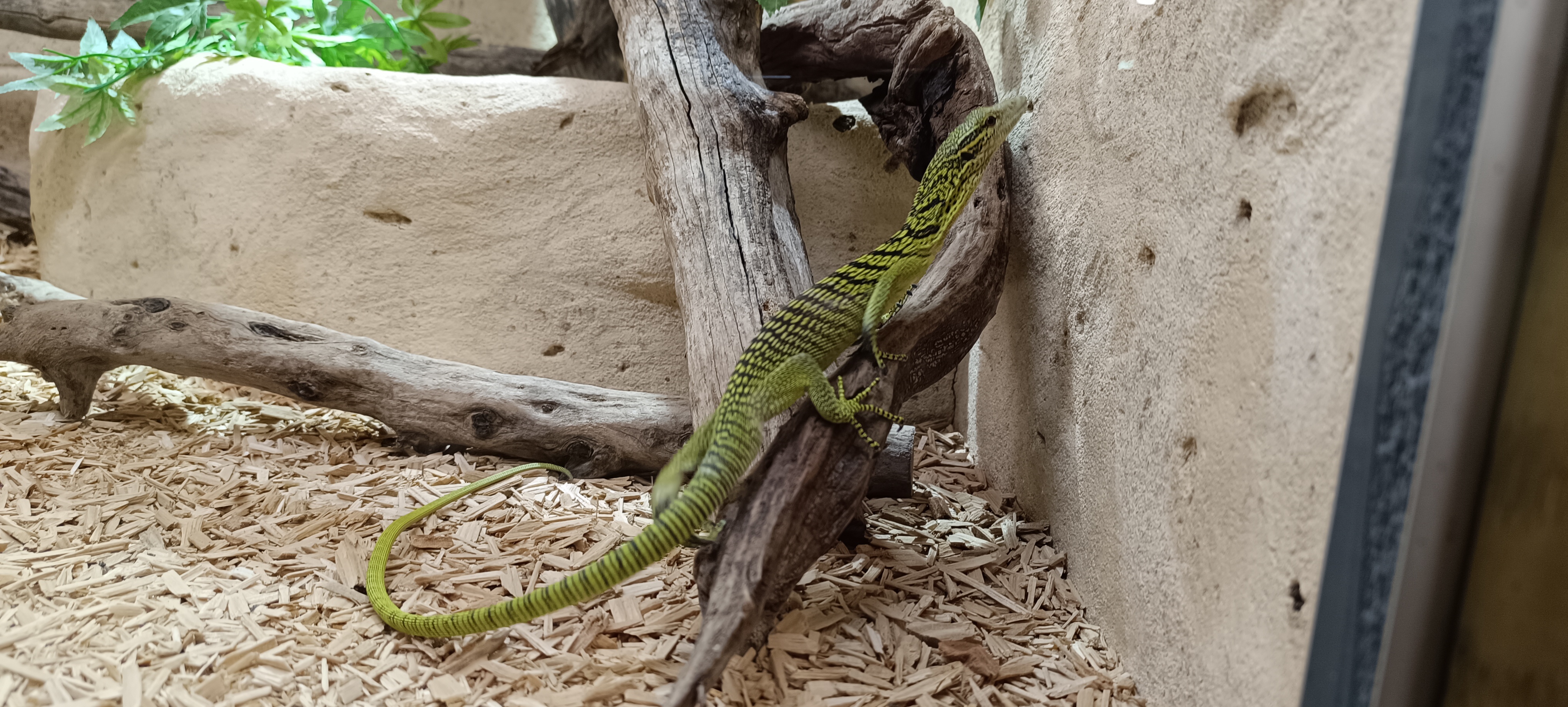 Photo n° 1 de l'avis de Myo.o fait le 17/07/2023 à 17:56