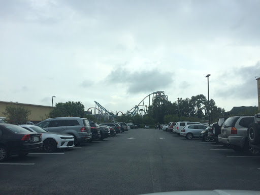 Roller Coaster «Dragon Challenge», reviews and photos, 6000 Universal Blvd, Orlando, FL 32819, USA