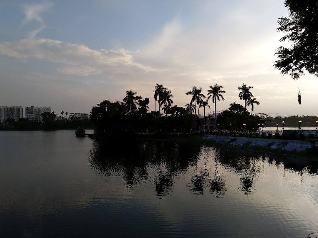 Gandhi Sagar Lake Floating Garden In The City Nagpur