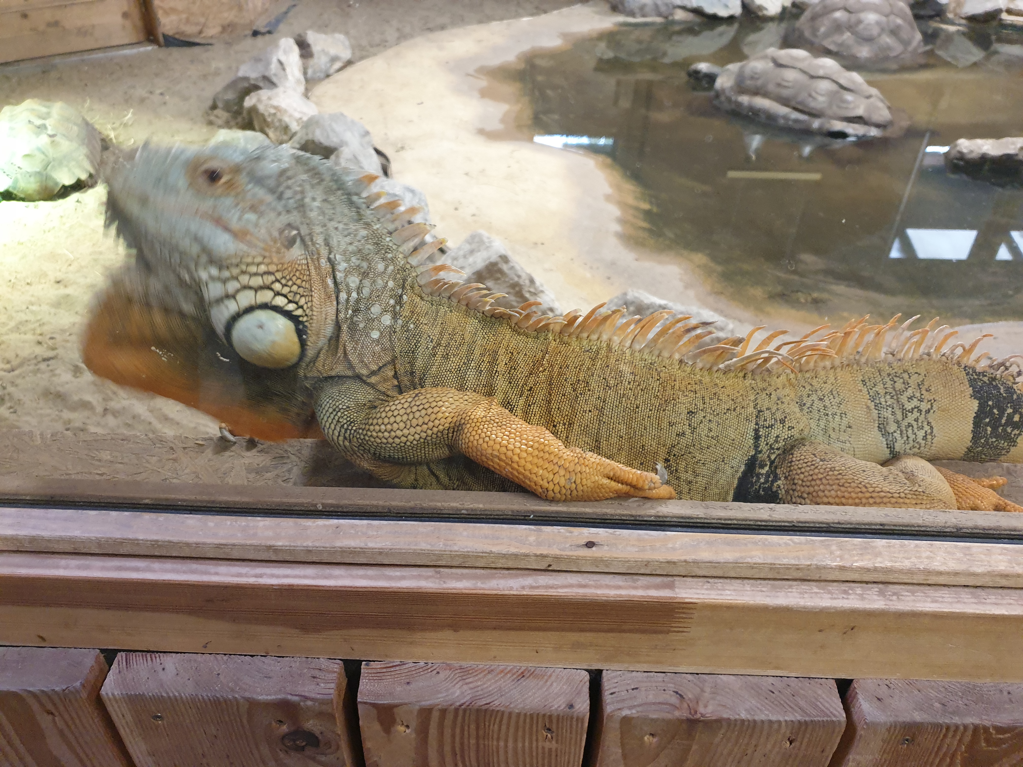 Photo n° 6 de l'avis de Jeremy.e fait le 11/07/2021 à 09:11