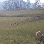 Photo n°3 de l'avis de Pelzer.u fait le 05/12/2019 à 13:27 sur le  Sontheims Naturhotel & Spa GmbH & Co.KG à Maierhöfen