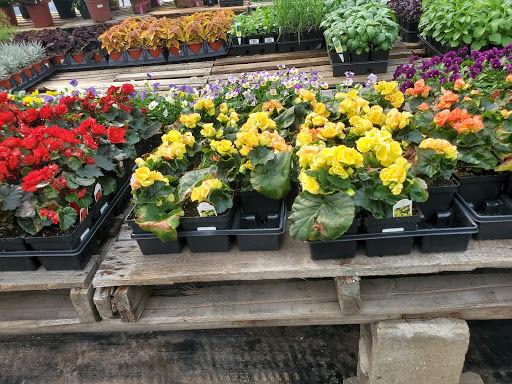 Garden Center «Beachside Gardens & Gifts», reviews and photos, 3725 US-12, Michigan City, IN 46360, USA