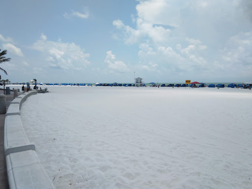 Discount Store «Dollar General», reviews and photos, 10720 Park Blvd N, Seminole, FL 33772, USA