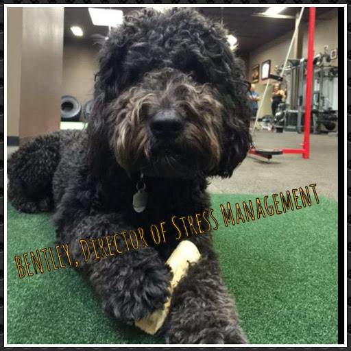 Health Club «Kinetix Health & Performance Center», reviews and photos, 77804 Wildcat Dr, Palm Desert, CA 92211, USA