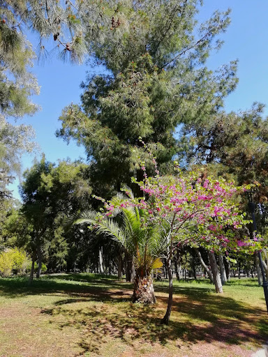 Park of Nea Smyrni